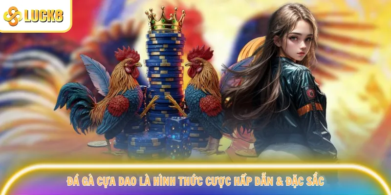 Đá gà cựa dao là hình thức cược hấp dẫn & đặc sắc